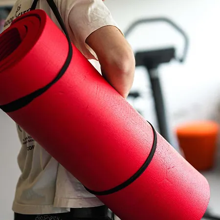 イビス スタイルズ サントル ガール 3*