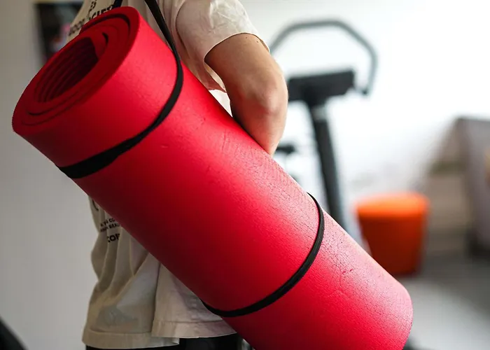 卡昂中心火车站宜必思样尚品酒店 3*